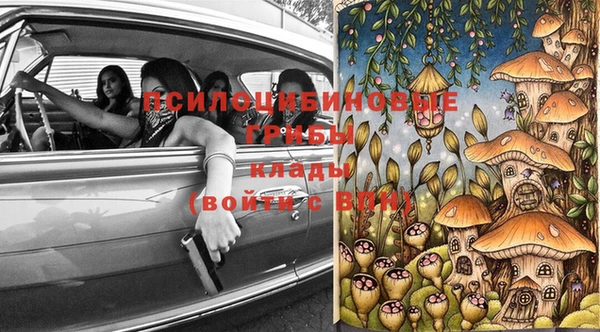 соль ск Абаза